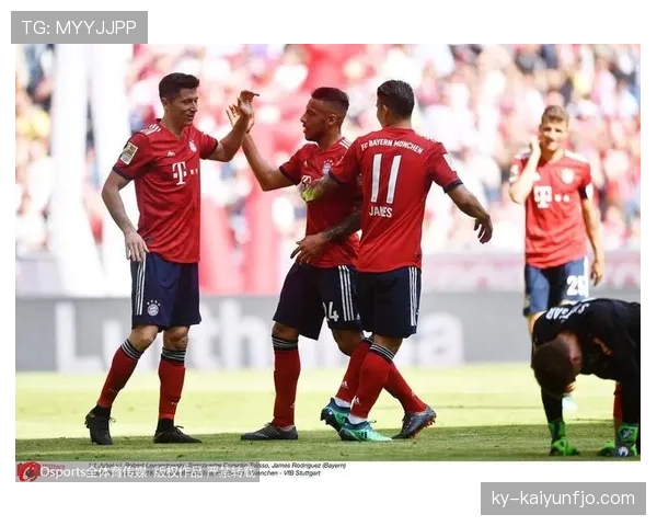 博努奇与胡梅尔斯在联防体系中的单点驱动与多点协防机制差异