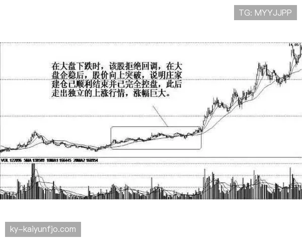 杜埃表现为何起伏不定:新星稳定性困局解析 杜埃表现为何起伏不定:新星稳定性困局解析